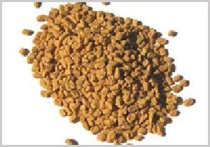 Fenugreek