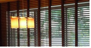 Venetian Blinds