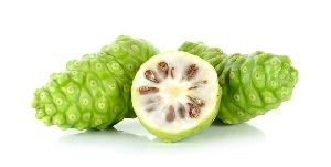 Morinda Citrifolia / Noni Extract