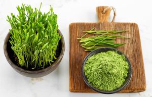 Wheat Grass Powder