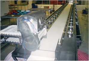 De-heading Conveyor