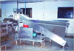 Feeder Conveyor