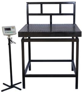 Heavy Duty Platform Scale