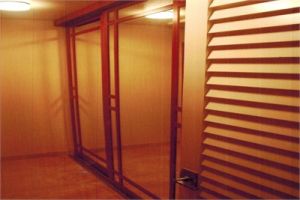 Mirror Sapele Door