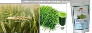 Barley Grass Powder