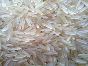 1121 Sella Rice