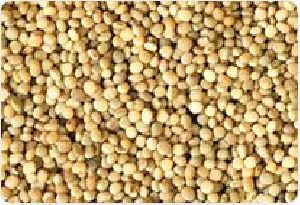 Guar Gum Seeds