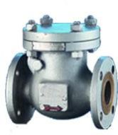 Oil Check Valve