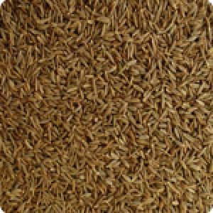 Cumin Seeds