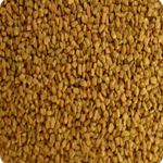 Fenugreek Seeds