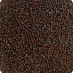 Mustard Seeds