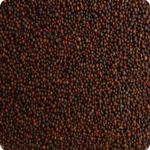 Mustard Seeds small