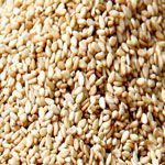 Sesame Seeds