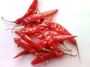 guntur dried red chilli