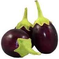 Fresh Brinjal