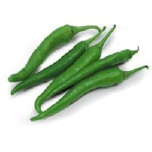 Fresh Green Chilli