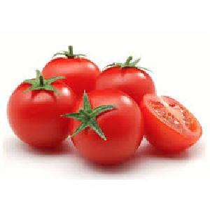 Fresh Tomato