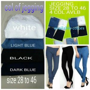 Denim Jeggings