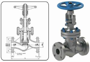 Bellow Sealed Valves