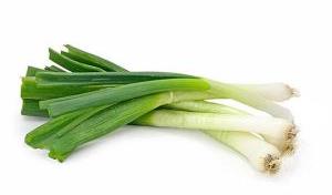 Spring Onion