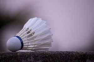 Natural Feathered Badminton Shuttlecock