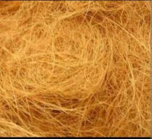 Coir Fibre