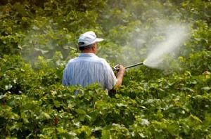 bio organic pesticides