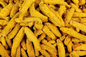 Turmeric Finger