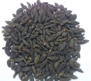 Black Himej Capsules