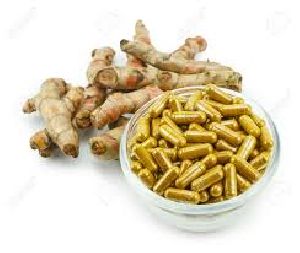 Zedoary Root Capsules