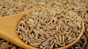 Cumin Seeds