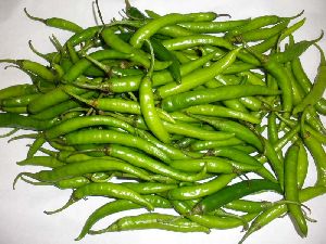 Fresh Green Chilli