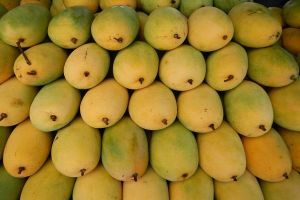 Fresh Mangos