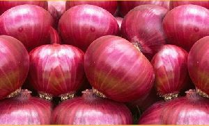 Fresh Onion