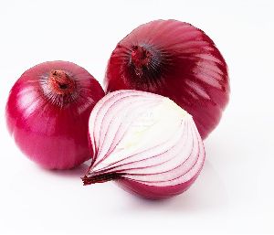 Fresh Onion