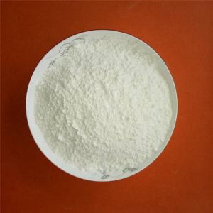 Fine Gypsum Powder