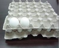 Pulp Molded Egg Tray