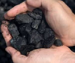 Steam Coal