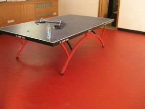 Vinyl Indoor Sports Flooring