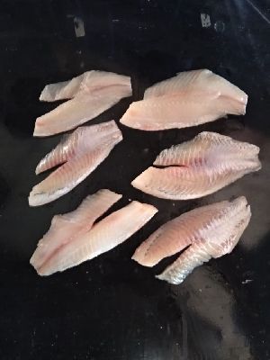 tilapia fresh fish meat