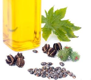 Castor Oil