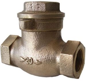 Steam Check Valves