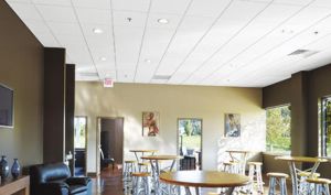 Laminated Gypsum Ceiling