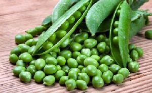 Fresh Green Peas