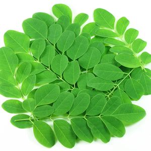 Moringa Leaves