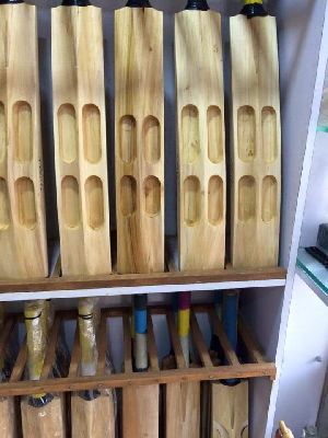 mumbai willow tennis bat