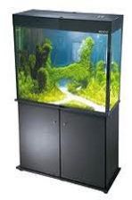 Imported Fish Tank