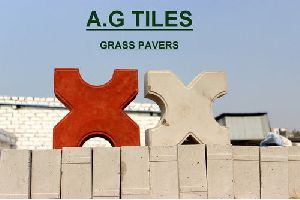 Grass Paver