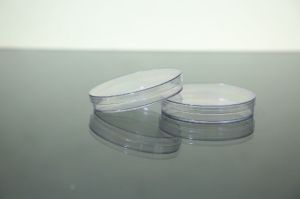 Plastic Petri Dish