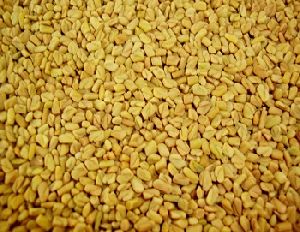 Fenugreek Seed